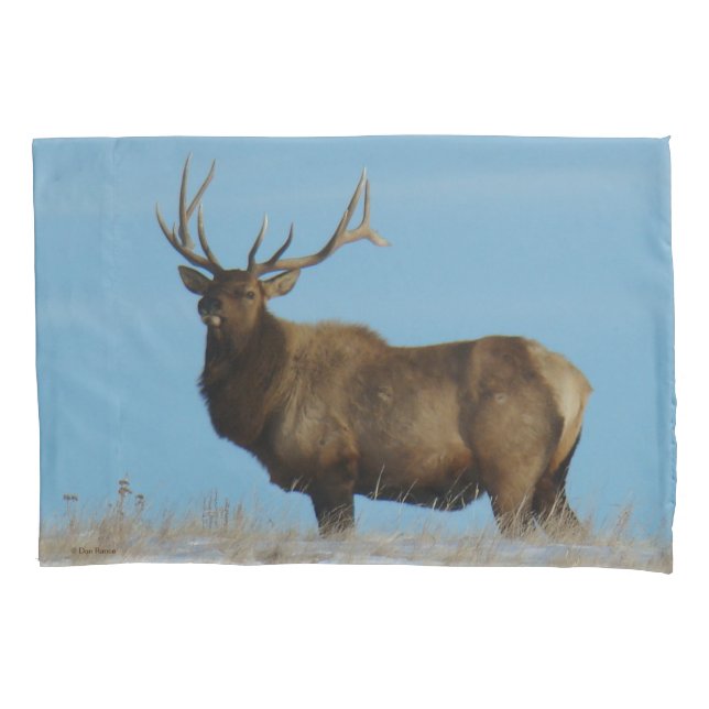 E62 Bull Elk Sky Lined (Frente)