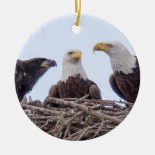 E9 & ornamento do feriado da família