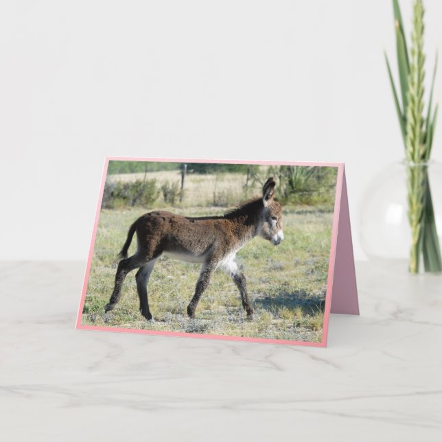 É a Garota! Cartão de saudação de burro de bebê (Frente)