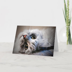 E aí? Pensando no seu cartão