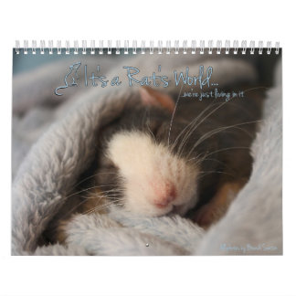 É calendário de mundo de um rato