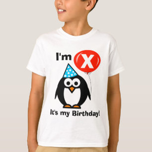 É minha camisa do aniversário t para a idade fei