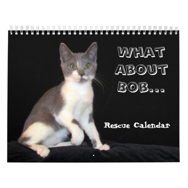 E o calendário de Bob Kitten (cat) (Capa)