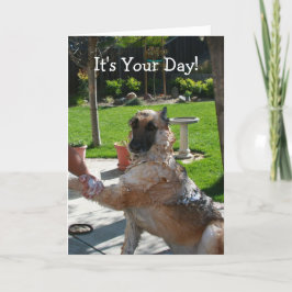 É o seu cartão de aniversário de German shepherd