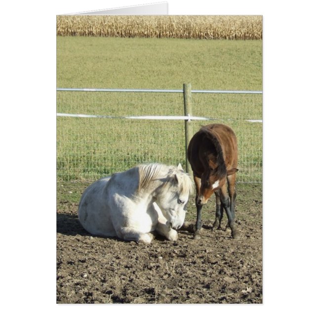 É preciso um cartão de paciência (Frente)