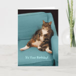É seu cartão gordo grande do gato de gato malhado<br><div class="desc">Um gato de gato malhado gordo grande que senta-se feliz acima como uma pessoa e que relaxa em uma cadeira do braço da cerceta. Risos bonitos e engraçados para qualquer um aniversário!!! Conceda nesse aniversário, coma o bolo, aprecie-o! A inspiração para este cartão vem de uma foto que eu disparei...</div>