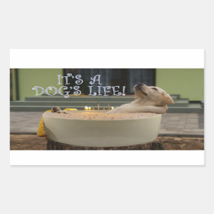 É um adesivo retangular de vida para cães