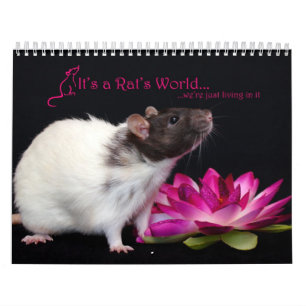 É um calendário de mundo 2016 do rato