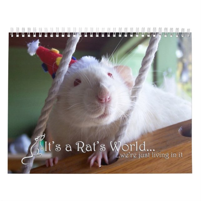 É um calendário de mundo 2016 do rato (Capa)