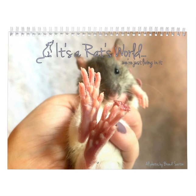É um Calendário Mundial de Rat (Capa)