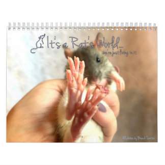 É um Calendário Mundial de Rat