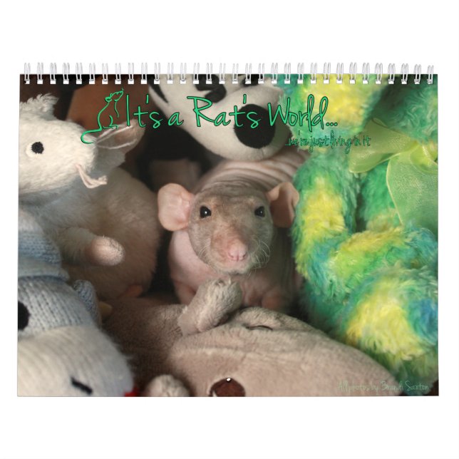 É um Calendário Mundial de Rat (Capa)