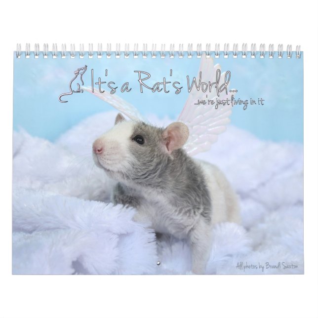 É um Calendário Mundial de Rat (Capa)