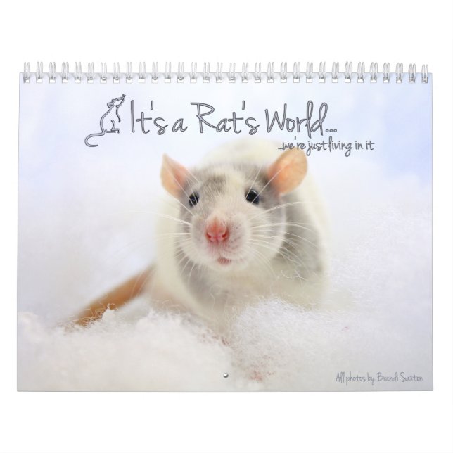 É um Calendário Mundial de Rat (Capa)