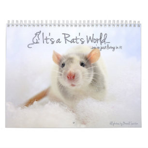 É um Calendário Mundial de Rat