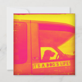 É um Cartão de Saudação de Vida de Cão