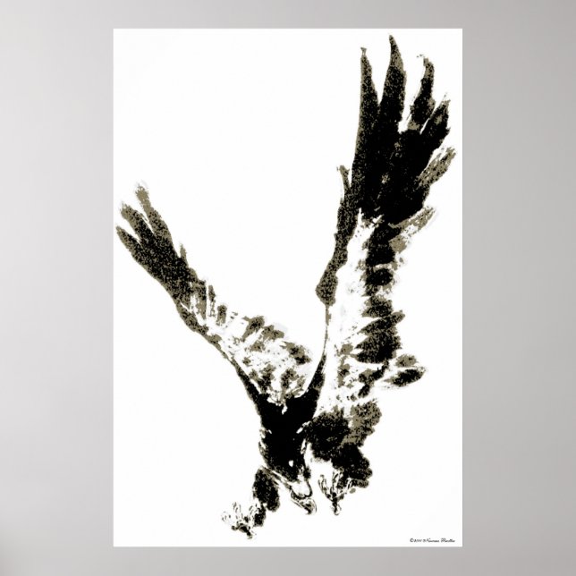 Eagle Impressão (Frente)