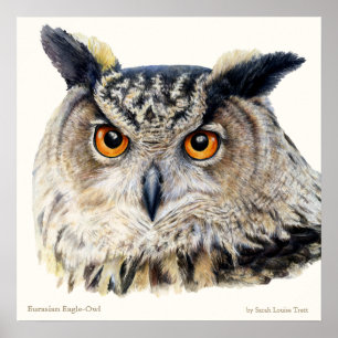Eagle Owl Ornithological belart poster