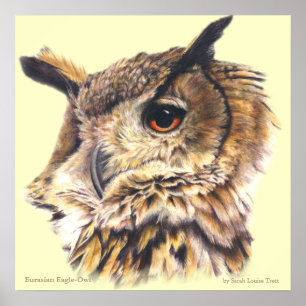 Eagle Owl Ornithological belart poster