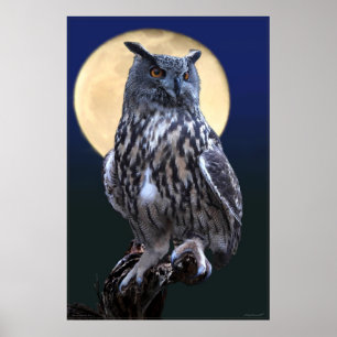 Eagle Owl Watercolor Poster -24x36 -ou menor