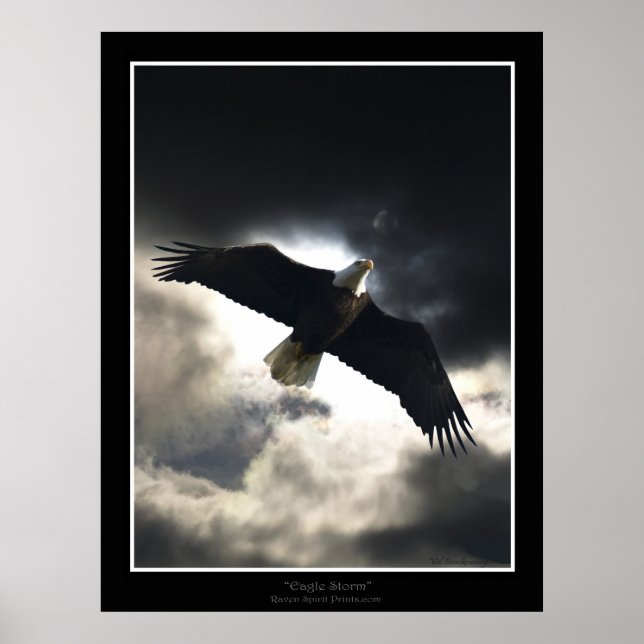 "Eagle Storm" Poster (Frente)