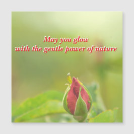 Earth’s Glow and Healing Japanese Flowers/EarthDay