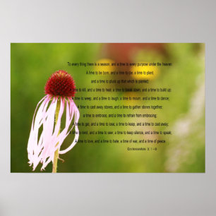 Ecclesiastes Verses o poster