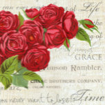 Echarpe Rosas vermelhas De Chique Vintage No Script Antiqu<br><div class="desc">Adicione um toque do verdadeiro charme da fazenda do campo à sua decoração ou classe ao seu estilo pessoal com estas rosas vermelhas de Chique maravilhosas na antiga,  para a verdadeira arte de vintage e o amante da design.</div>