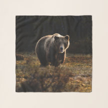 Urso
