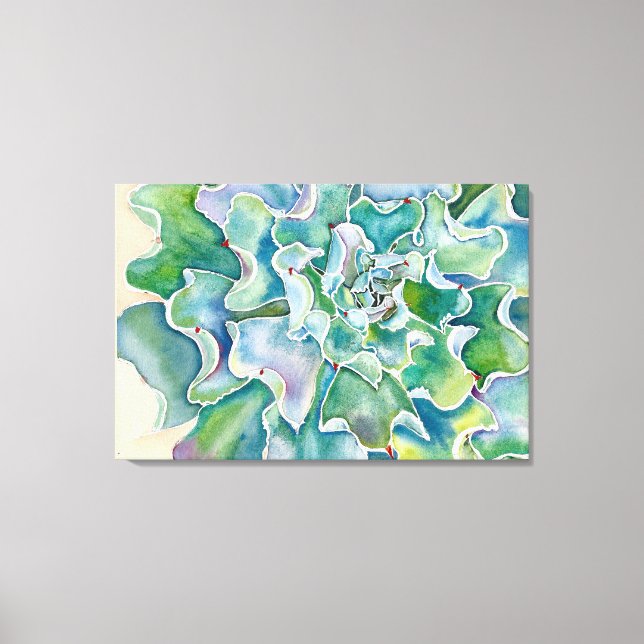 Echeveria 'Blue Frills' Impressão (Frente)