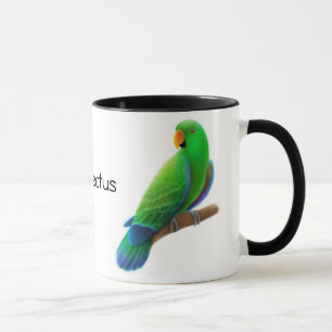 Eclectus repete mecanicamente a caneca