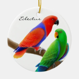 Eclectus repete mecanicamente o ornamento