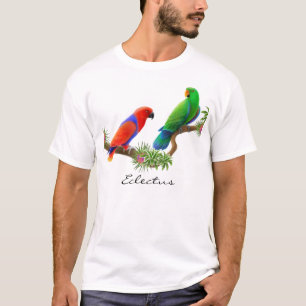 Eclectus repete mecanicamente o t-shirt
