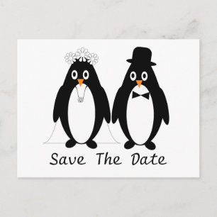 Economias do pinguim o anúncio do casamento da