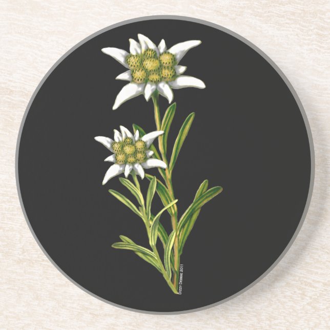 Edelweiss Floral Porta copos (Frente)