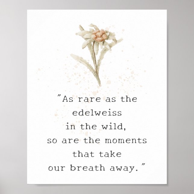 Edelweiss Wildflower Poster (Frente)