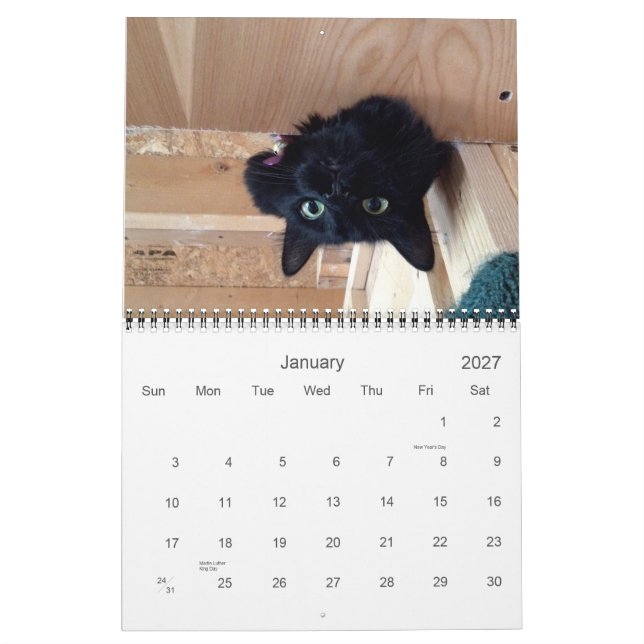 Edgar, bruxaria africana e calendário 2015 do gato (Jan 2027)