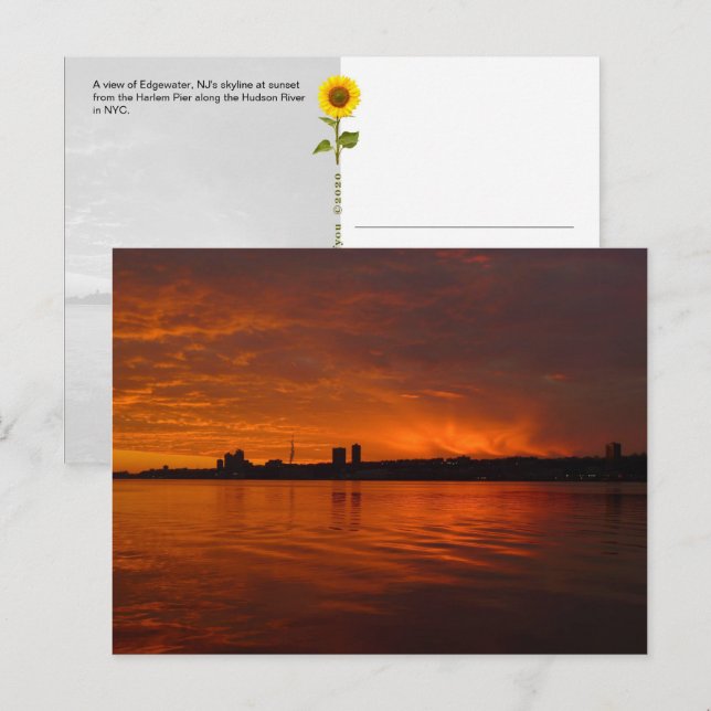 Edgewater, NJ Skyline - cartão postal H (Frente/Verso)