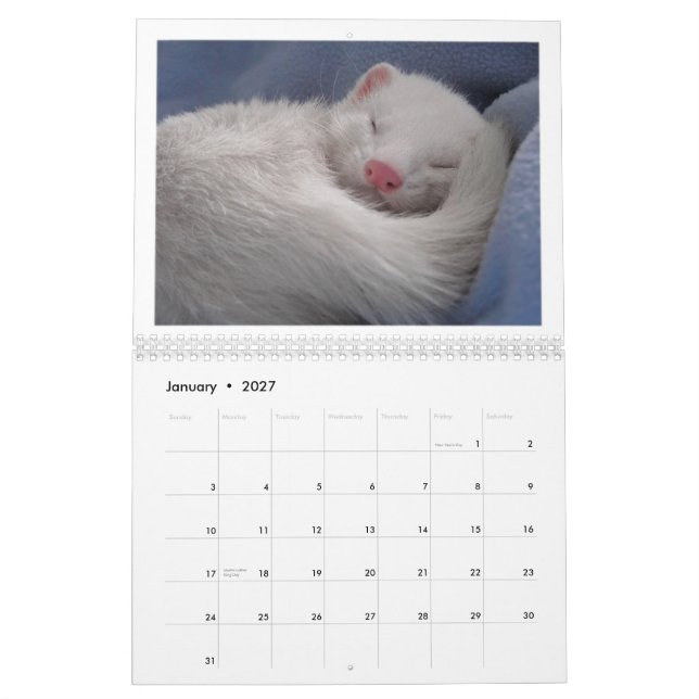 Edição do calendário da doninha ?a (Jan 2027)