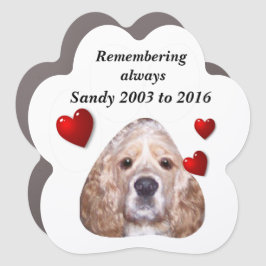 editar completamente a memória de texto e imagem