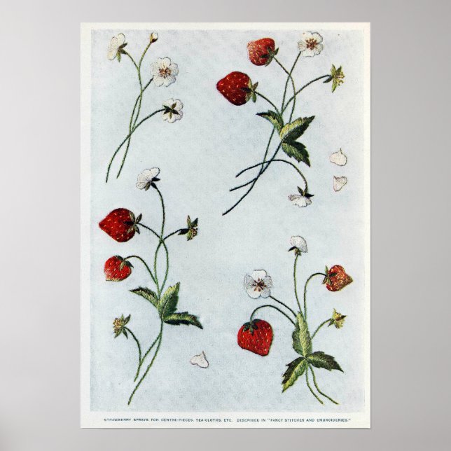 Edwardian Strawberry Poster (Frente)