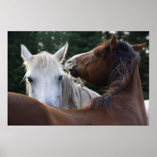 Efeito Cavalo - poster