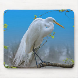 Egret em uma árvore Mousepad