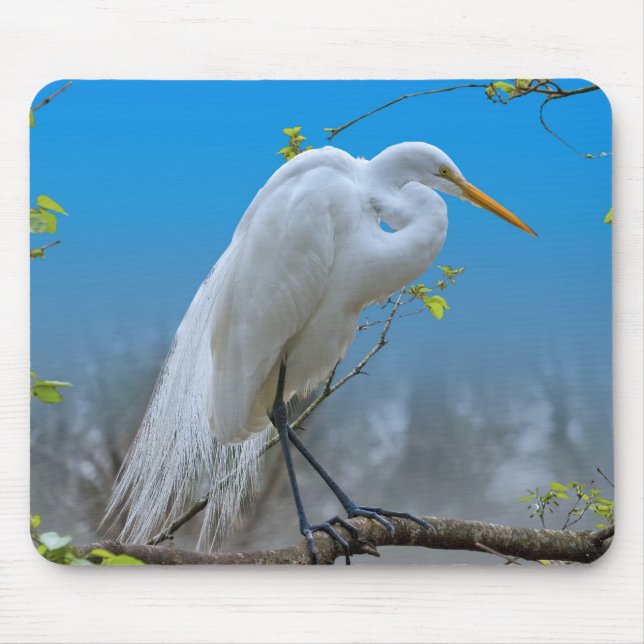 Egret em uma árvore Mousepad (Frente)