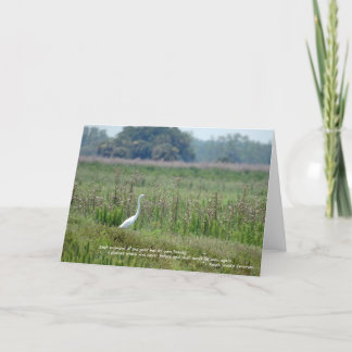 Egret no campo do cartão das flores