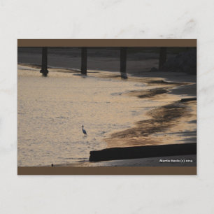 Egret on Shore II Cartão postal Blue Beach™