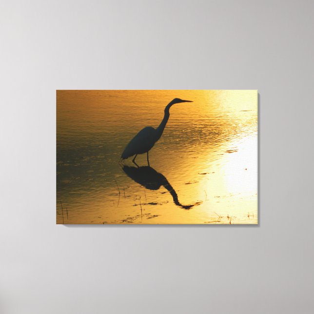 Egret Sunset Canvas (Frente)