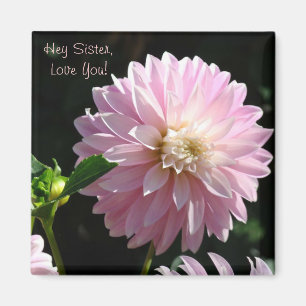 Ei Irmã Te Ama! Presentes de íman Dahlia Rosa