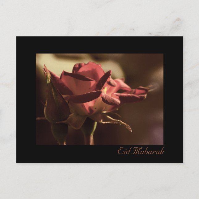 Eid Mubarak - Cartão postal de rosa vermelha (Frente)
