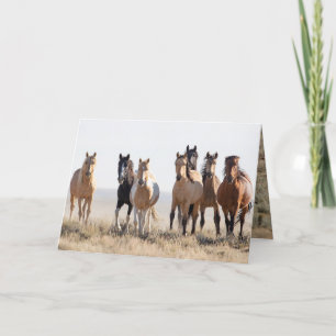 El Dorado e seu cartão de saudação familiar